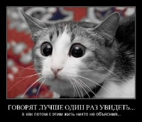 Вика Kitty, 4 июля 1993, Киев, id100524137