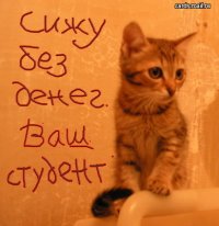 Little Kitten, 24 августа , Бугуруслан, id78035037